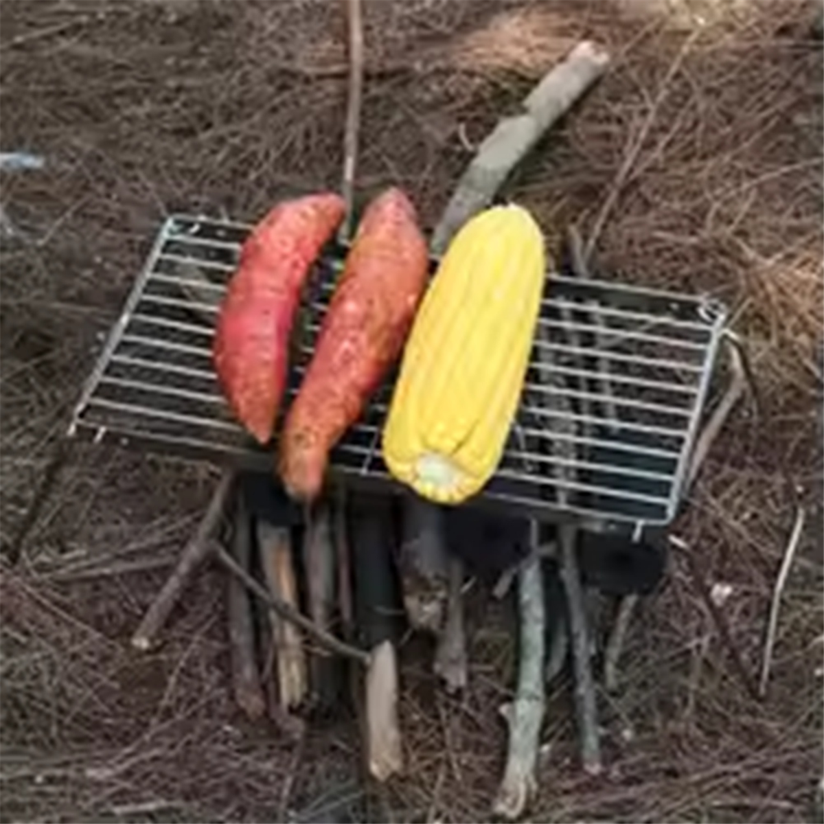 NEW Portable Stainless Steel C - Camping Cooking Equipment Electric ulasan dan harga